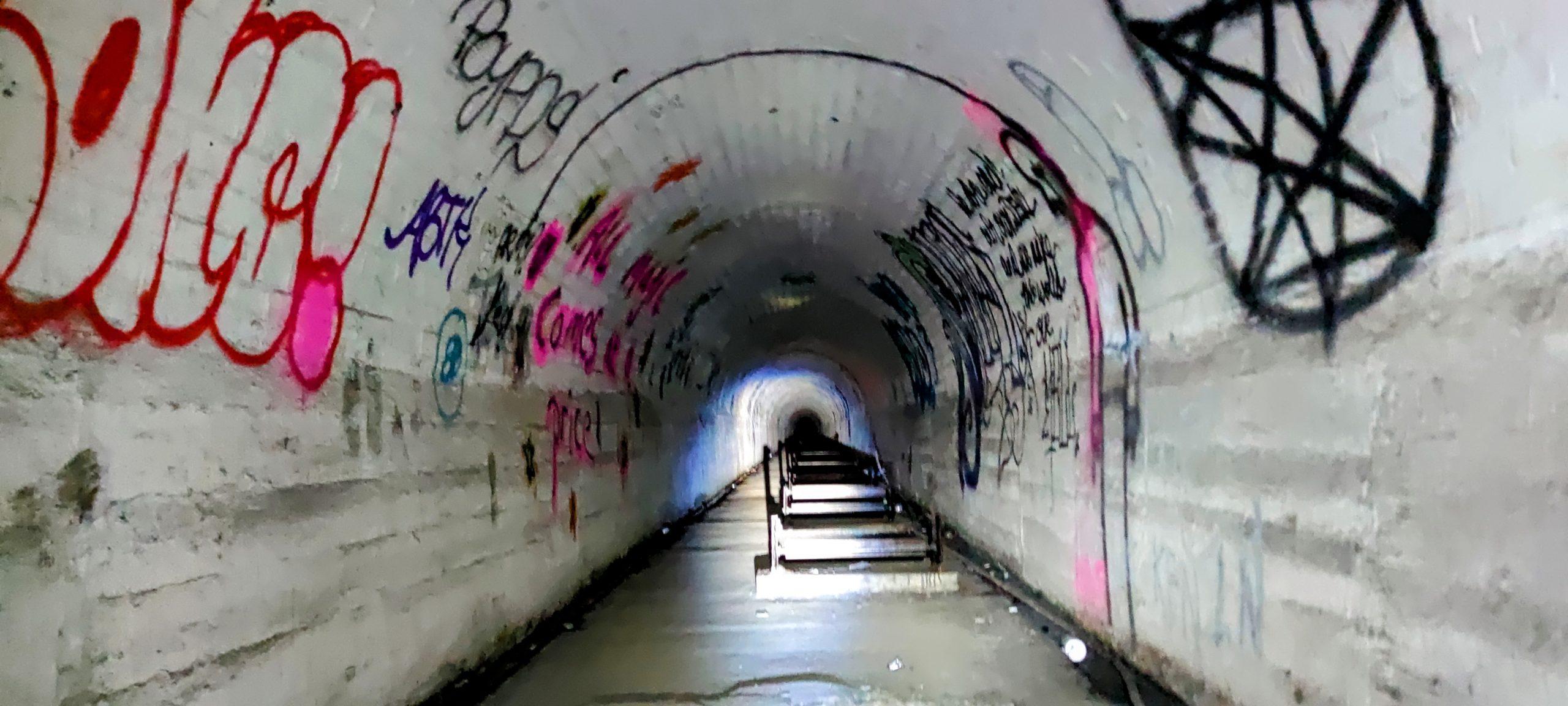 Farleigh Down Tunnel 