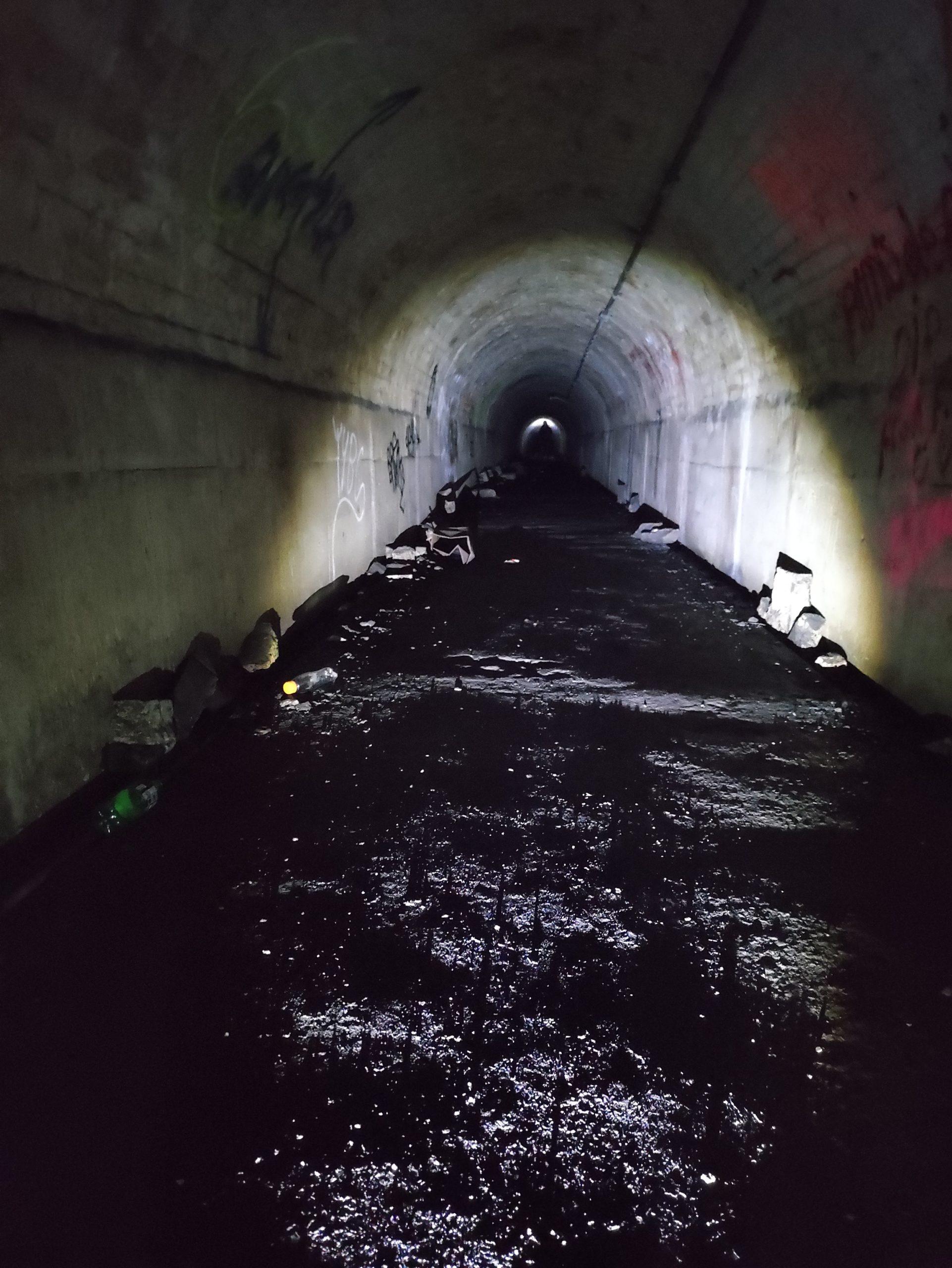 Farleigh Down Tunnel 